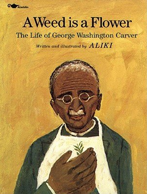 an illustration of an older George Washington Carver, wearing an apron and gazing at a delicate plant