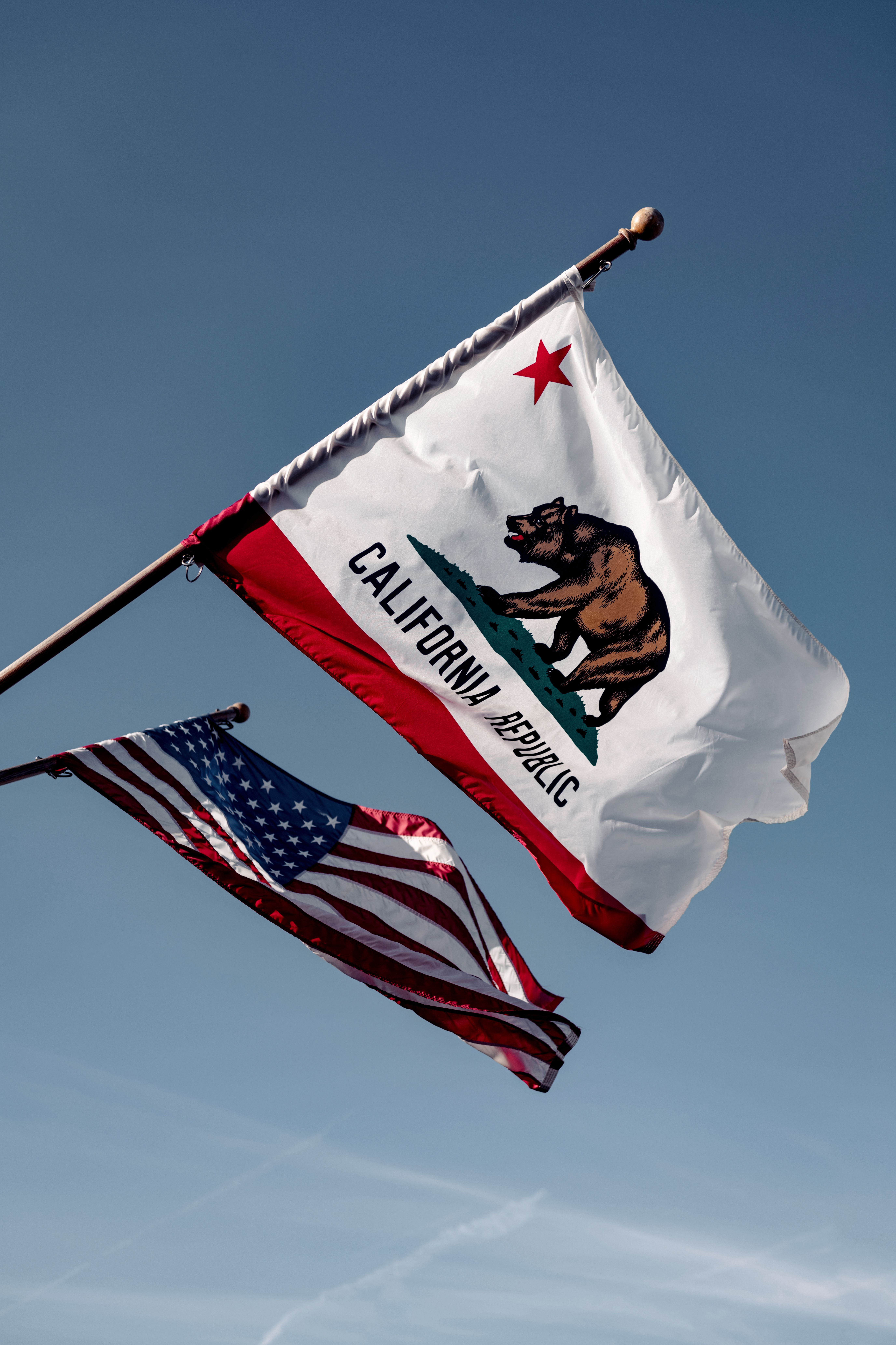 california state flag hangs next to an American flag as the cover photo for the article about the California genocide